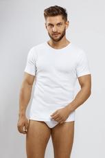 GUCIO / T-SHIRT MĘSKI KRÓTKI RĘKAW GŁADKI TM-01 - www.anstel.pl