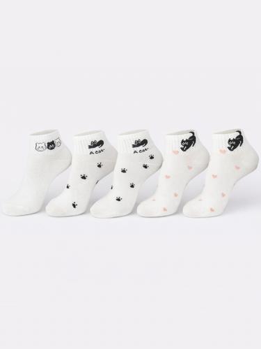 Stopki damskie st086 bawełna kotki