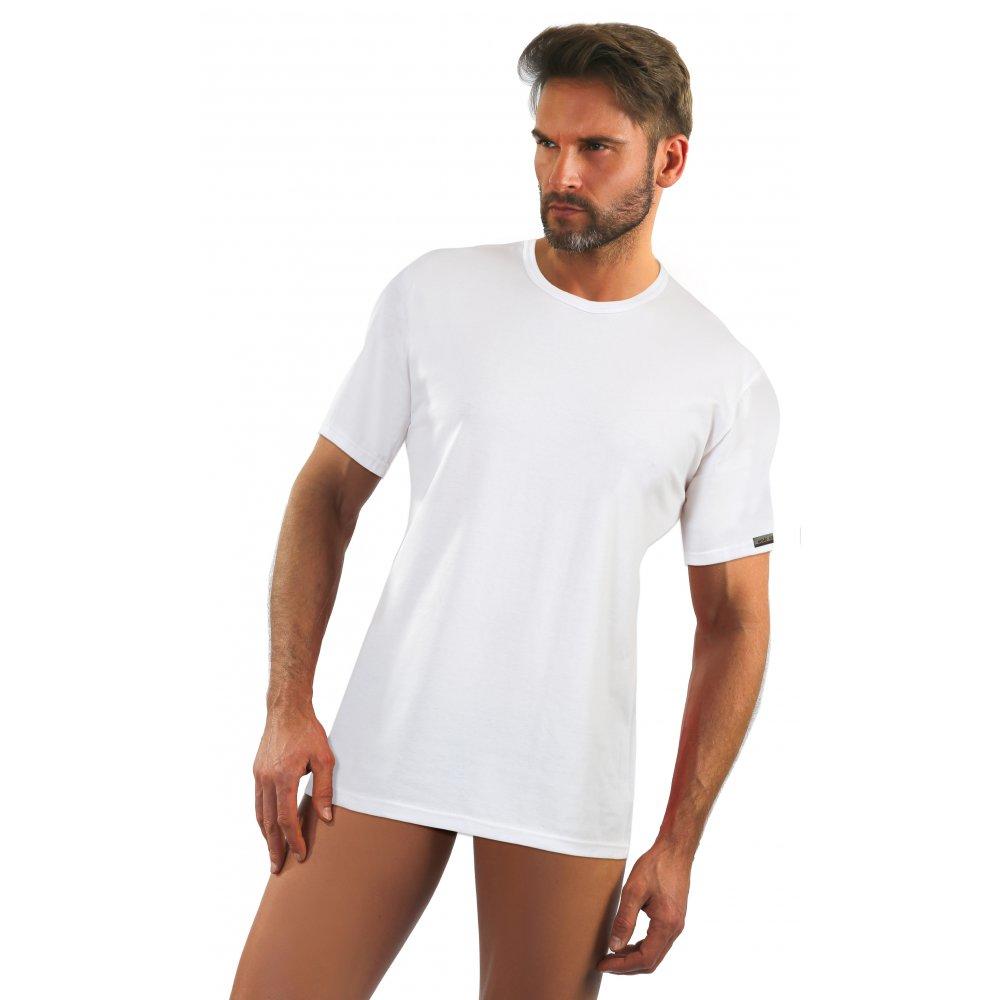 SESTO-SENSO / COBRA KOSZULKA KLASYCZNY T-SHIRT MĘSKI BAWEŁNIANY - www.anstel.pl