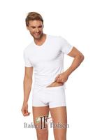 ITALIAN FASHION / KOSZULKA IKAR KR.RĘKAW SEREK - www.anstel.pl