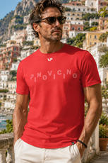PINO VICINO / T-SHIRT MĘSKI PV VP100.008 - www.anstel.pl