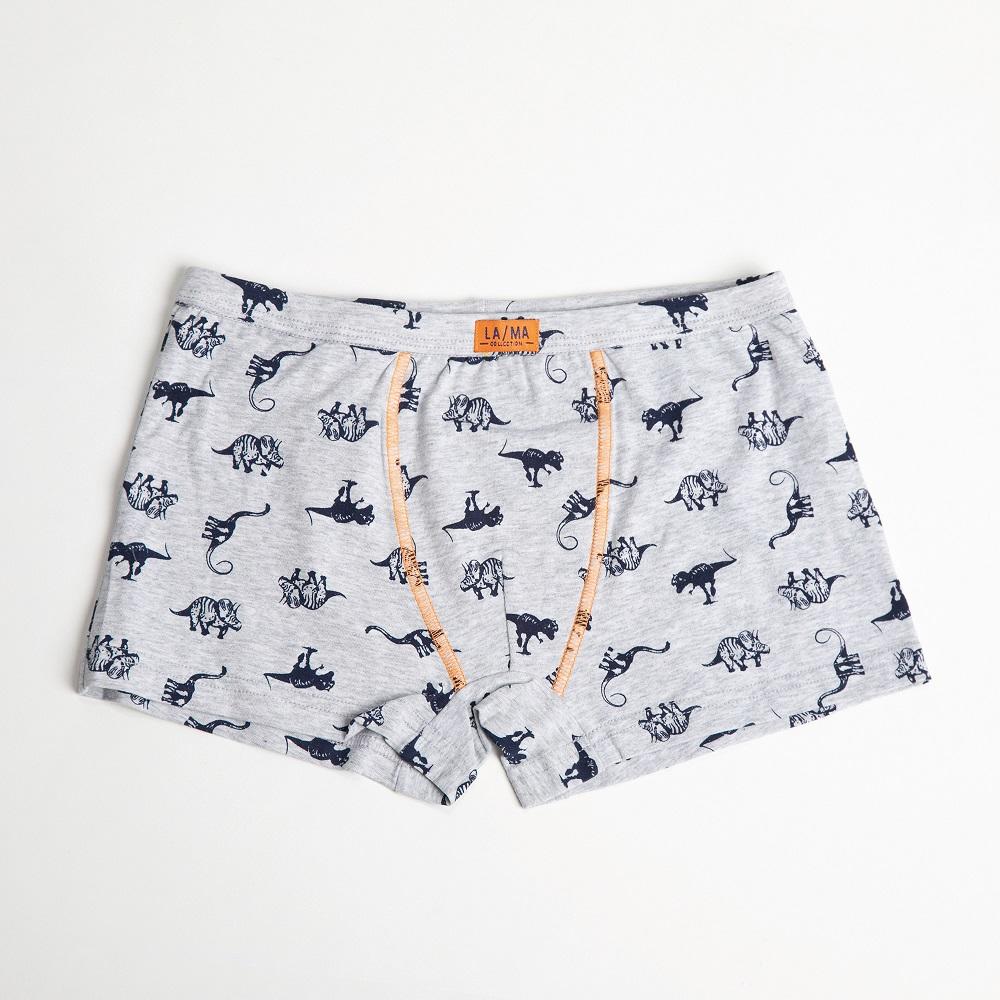 LAMA / SZORTY CHŁOPIĘCE B-205SZ SZT. - www.anstel.pl